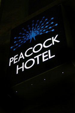 Peacock Inn Hotel - Accommodation Daintree 0