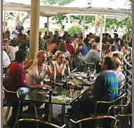 The Commodore Hotel - Accommodation Daintree