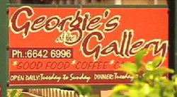 Grafton NSW Accommodation Daintree
