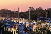 H20 Bar And Bistro - Accommodation Daintree 1