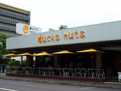 Ducks Nuts Bar & Grill - Accommodation Daintree 2