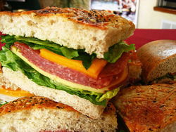 Buzz Cafe - Accommodation Daintree 2