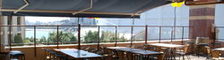 Pyrmont Bridge Hotel - Accommodation Daintree 3