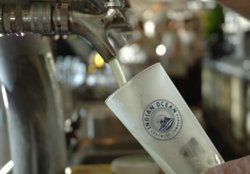 Indian Ocean Brewing Company - Accommodation Daintree 3