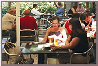 The Commodore Hotel - Accommodation Daintree 3