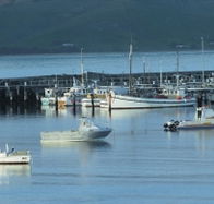 The Apollo Bay Hotel - Accommodation Daintree
