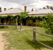 The Blue Duck Inn Hotel - Accommodation Daintree