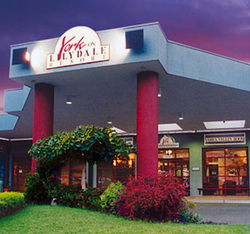 York On Lilydale - Accommodation Daintree 0
