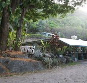 Ellis Beach Bar  Grill - Accommodation Daintree