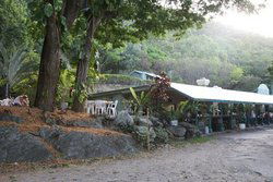 Ellis Beach Bar & Grill - Accommodation Daintree 0