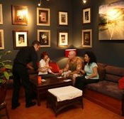 Vibe Bar and Restaurant - Accommodation Daintree