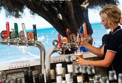  Accommodation Daintree