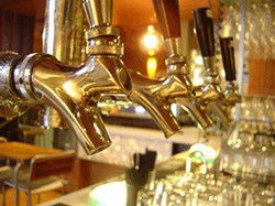 Finucane WA Accommodation Daintree