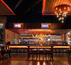 Rock Lily Nightclub - Accommodation Daintree 0