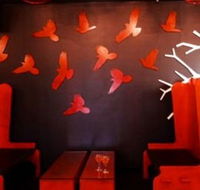 Soho Bar and Lounge - Accommodation Daintree