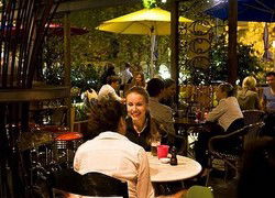 Treehouse Hotel - Accommodation Daintree 0