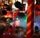 Q Bar - Accommodation Daintree