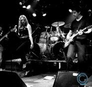 Players Bar - Accommodation Daintree