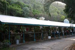 Ellis Beach Bar & Grill - Accommodation Daintree 1