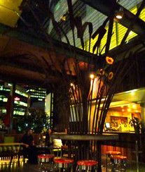 Treehouse Hotel - Accommodation Daintree 2