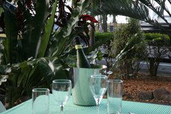 Ellis Beach Bar & Grill - Accommodation Daintree 3