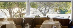 Newport Arms - Accommodation Daintree 3