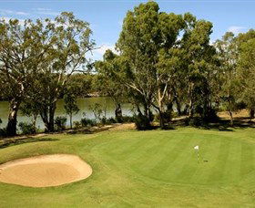 Dareton NSW Accommodation Daintree