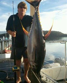 Narooma NSW Accommodation Daintree