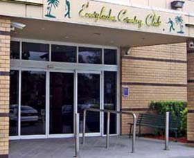 Woy Woy NSW Accommodation Daintree