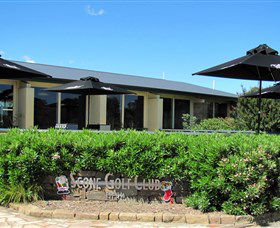 Scone NSW Accommodation Daintree