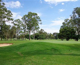 Singleton NSW Accommodation Daintree