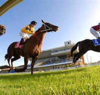 Wyong Race Club - Accommodation Daintree