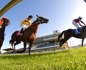 Wyong Race Club - Accommodation Daintree 0