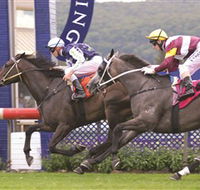 Gosford Race Club - Accommodation Daintree