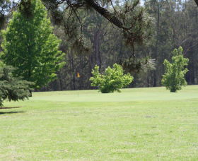 Auburn Vale NSW Accommodation Daintree