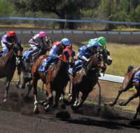 Alice Springs Turf Club - Accommodation Daintree