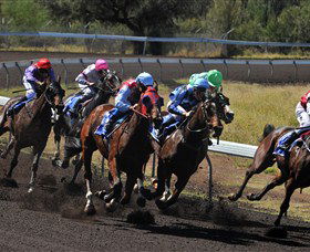 Alice Springs Turf Club - Accommodation Daintree 0