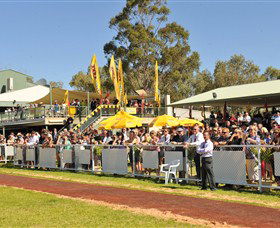 Alice Springs Turf Club - Accommodation Daintree 5