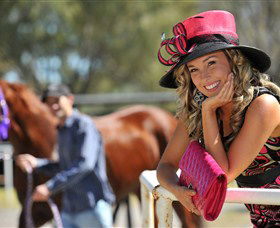 Alice Springs Turf Club - Accommodation Daintree 4