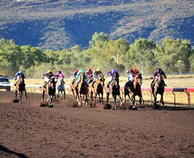 Alice Springs Turf Club - Accommodation Daintree 6