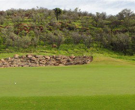 Alice Springs Golf Club - Accommodation Daintree 1