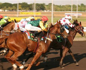 Darwin Turf Club - Accommodation Daintree 1