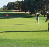 Waikerie Golf Club - Accommodation Daintree