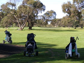 Minlaton Golf Club - Accommodation Daintree 3