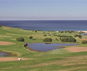 Gerringong NSW Accommodation Daintree