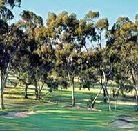 Tanunda Pines Golf Club - Accommodation Daintree