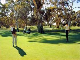 Tanunda Pines Golf Club - Accommodation Daintree 1