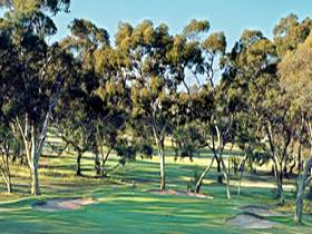 Tanunda Pines Golf Club - Accommodation Daintree 2