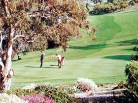 Victor Harbor Golf Club - Accommodation Daintree 1