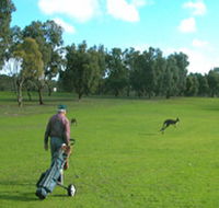 Coffin Bay Golf Club - Accommodation Daintree